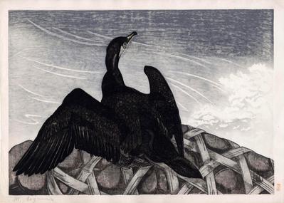 Cormorant sitting on a gabion near some rapids