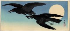 Crows in flight