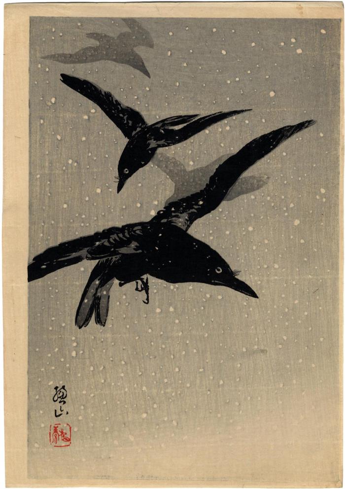 Crows flying in a snowstorm
