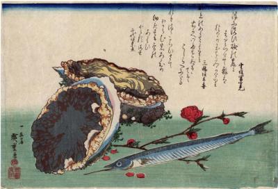 Abalone, needlefish and peach blossoms from an untitled series known as the Large Fish  (<i>Uozukushi</i> [魚尽くし]) 