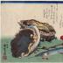 Abalone, needlefish and peach blossoms from an untitled series known as the Large Fish  (<i>Uozukushi</i> [魚尽くし]) 