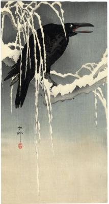 Crow on a snowy bough