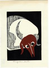 Dachshund lying down