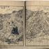 Volume from <i>Picture Book of the Taiko-ki</i> (<i>Ehon Taikō-ki</i> 絵本太閤記)