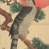 Falcon on Pine at Sunrise (松に鷹日の出)  
