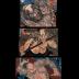 Lu Zhishen, the Tattooed Monk - (<i>Kaoshō Rochishin shomei Rotatsu</i> - 花和尚魯知深初名魯達) from the series <i>One Hundred and Eight Heroes of the Popular Shuihuzhuan</i> (<i>Tsūzoku Suikoden gōketsu hyakuhachinin no hitori</i> - 通俗水滸伝豪傑百八人之一個)　