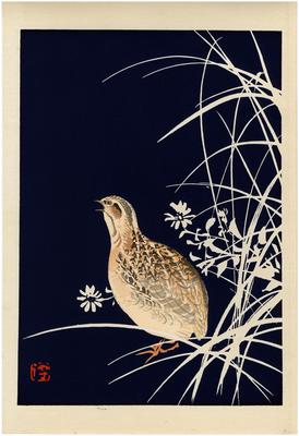 Quail from the Tansai Gafu design book