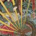 Ryūōmaru (龍王丸) from the series <i>Mirror of Warriors of Our Land</i> (<i>Honchō musha kagami</i> - 本朝武者鏡) 