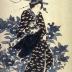 <i>Aizuri-e</i> of a <i>bijin</i> reaching up to grab a branch of a flowering cherry tree, from the series <i>Beauties of the Latest Fashion Compared with the Beauty of Flowers</i> (<i>Tōsei bijin hana-awase</i> - 當世美人花合)