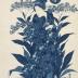 <i>Aizuri-e</i> of a <i>bijin</i> reaching up to grab a branch of a flowering cherry tree, from the series <i>Beauties of the Latest Fashion Compared with the Beauty of Flowers</i> (<i>Tōsei bijin hana-awase</i> - 當世美人花合)