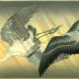 Two little egrets flying in heavy rain