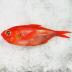 Suzuki [すずき] and kinmedai [金目鯛] with sprigs of shiso [しそ] from an untitled series known as the Large Fish  (<i>Uozukushi</i> [魚尽くし])