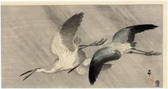 Two little egrets flying in heavy rain