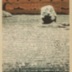 Stone Garden (<i>Ishi Niwa</i> - 石庭)