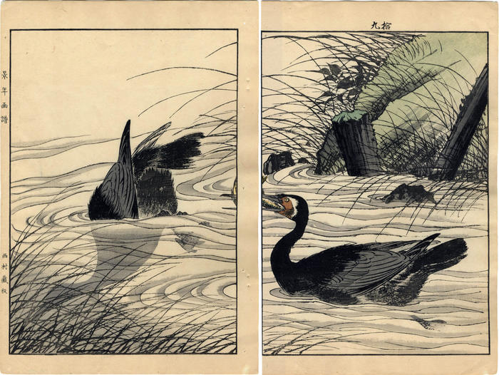 Loons in pond - <i>ehon</i> diptych from <i>Keinen kachō gafu</i> ('Album of Bird-and-Flower Pictures by Keinan' - 景年花鳥画譜)