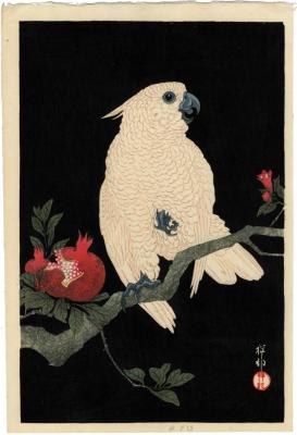 Cockatoo and pomegranate (<i>Ōmu to zakuro</i> - おうむとざくろ)