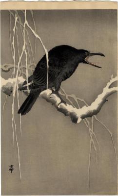 Cawing Crow