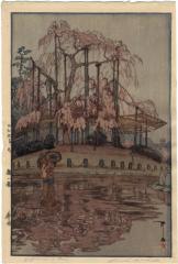 <i>Harusame</i> (Spring Rain - 春雨)/<i>Yozakura in the rain</i> from the series Eight Scenes of Cherry Blossoms (<i>Sakura hachidai</i> - 櫻八題) 